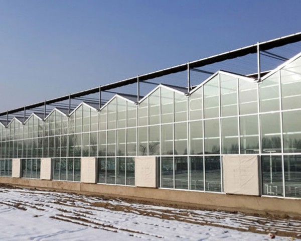 玻璃溫室